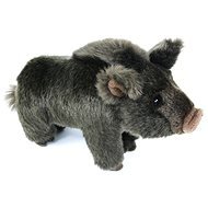 Wild Boar - Soft Toy