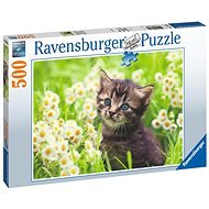 Kotě na louce 500 dílků  - Jigsaw