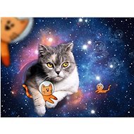 Kočka ve vesmíru 1500 dílků - Jigsaw