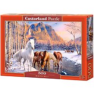 CASTORLAND Puzzle Herd of horses 500 pieces - Jigsaw Puzzle