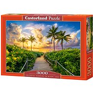 CASTORLAND Puzzle Sunrise in Miami 3000 pieces - Jigsaw Puzzle
