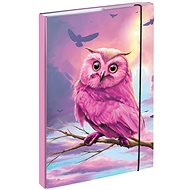 BAAGL Folders for school notebooks A4 Owl - School Folder