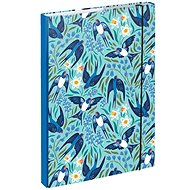 BAAGL Folders for school notebooks A4 Swallows - School Folder