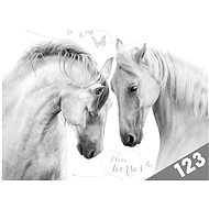 Boards for numbers MFP Horses - Desky na sešity
