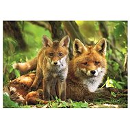 Dino Fox with cub 300 xl puzzle - Jigsaw Puzzle