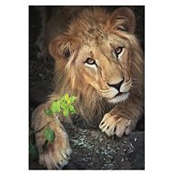 Dino King of Animals 500 puzzles - Jigsaw
