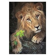 Dino King of Animals 500 puzzles - Jigsaw Puzzle