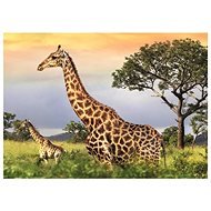 Dino Giraffe family 1000 puzzles - Jigsaw