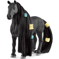 Beautiful mare of the Criollo Definitivo breed - Figure