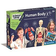 Science & Play - Der menschliche Körper - Experimentierkasten