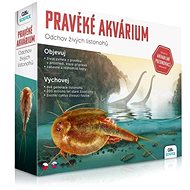 Prehistoric aquarium - Educational Set