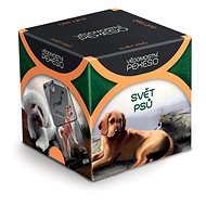 World of dogs - memory game - Memory Game