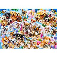 BLUEBIRD Puzzle Animals - Animal Selfie Collage 1000 pieces - Jigsaw Puzzle