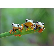 BLUEBIRD Puzzle Friendly Frogs 500 pieces - Jigsaw Puzzle