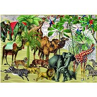 BLUEBIRD Puzzle Nature - Desert 1000 pieces - Jigsaw Puzzle