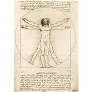 BLUEBIRD Puzzle Art - Vitruvian Man 1000 pieces Leonardo da Vinci - Jigsaw Puzzle