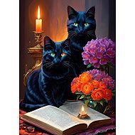ALIPSON Black Cat Puzzle 500 pieces - Jigsaw Puzzle