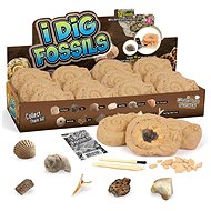 Fossil digging kit - Figure