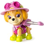 Paw Patrol Skye with Accessories - Figure