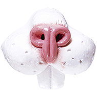 Widmann Latex rabbit snout - Costume Accessory