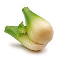 ERZI Fennel - Toy Kitchen Food