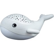 MegaLight with Willy Whale projection - Night Light