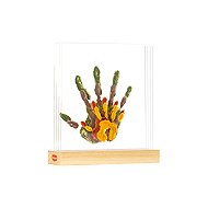 Tiny Love Family Prints Tiny Creations - Print Set