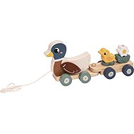 Two kids Duck family - Push and Pull Toy