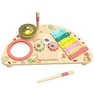 Two Children Multifunctional Plate - Musical Toy