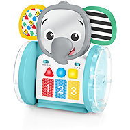 Baby Einstein Interactive Chase & Tap Earl - Musical Toy