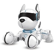 IR Robopes with voice commands - Robot