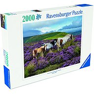 Ravensburger 120017516 Wild Horses - Jigsaw Puzzle