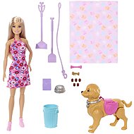 Barbie with dog on a walk - Doll