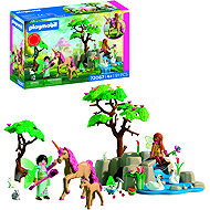 Playmobil 72067 Fairies on a trip - Playmobil
