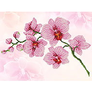 Diamond Dotz Orchidej - Diamond Painting