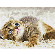 Diamond Dotz Mourovaté kotě - Diamond Painting
