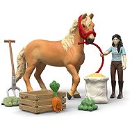 Schleich Emily's Horse Care Set 42797 - Figure and Accessory Set