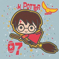 Ideyka Harry Potter Flying on a Broomstick 25 × 25 cm - Painting by Numbers