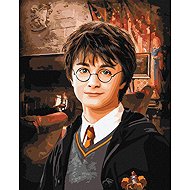 Ideyka Harry Potter 40 × 50cm - Painting by Numbers
