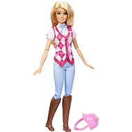 Barbie Malibu Rider with accessories - Doll