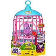Little Live Pets Papagáj Kalitkában Polly Pearl Ha - Interactive Toy