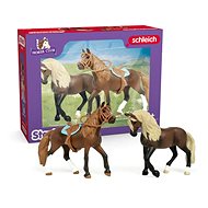 Schleich Horse Club Paso Peruano Starter Set 42738 - Figure and Accessory Set