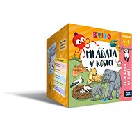 Quido - Cubs in a nutshell - Card Game