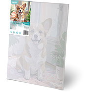 Massido Painting by numbers 40 × 50 cm Corgi dog - Painting by Numbers