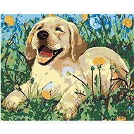 Painting by Numbers - Puppy among Dandelions - Painting by Numbers