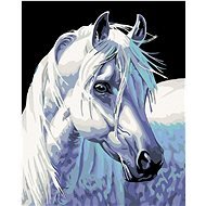Painting by Numbers - White Horse II - Painting by Numbers