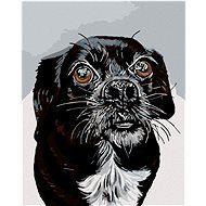 Painting by Numbers - Black and White Doggy - Painting by Numbers