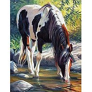 Norimpex Kůň u řeky 40 × 50 cm - Painting by Numbers
