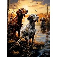 Norimpex Psi v mokřadech 40 × 50 cm - Painting by Numbers