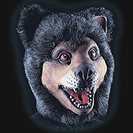 Carnival Toys Bear mask with hair - Carnival Mask
